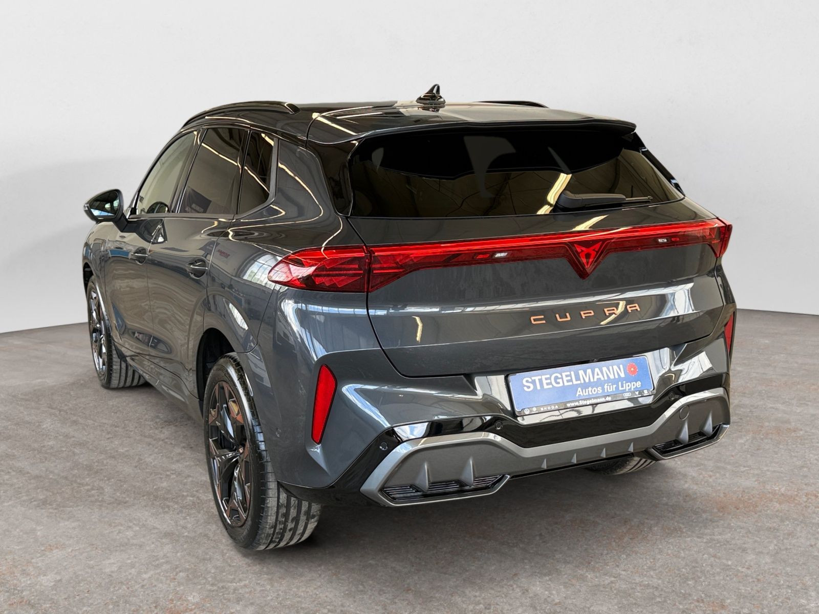 Cupra - Terramar_4
