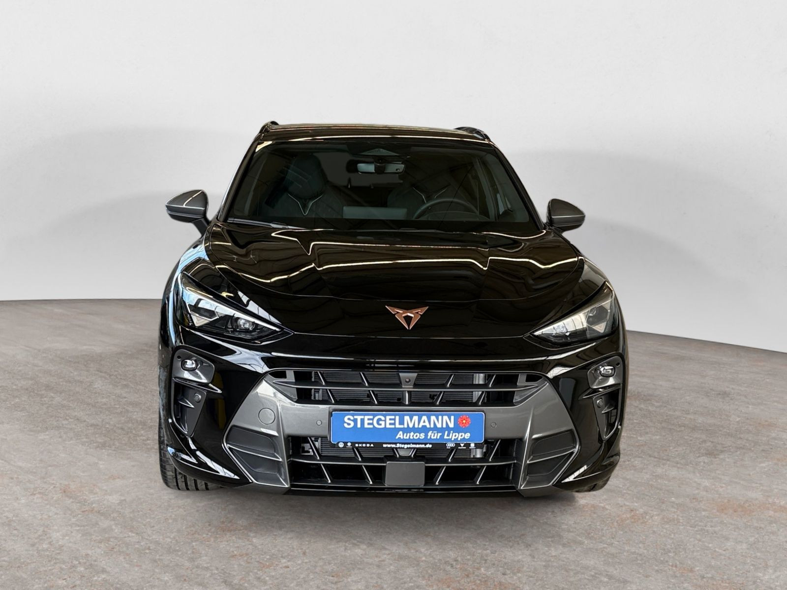 Cupra - Terramar_9