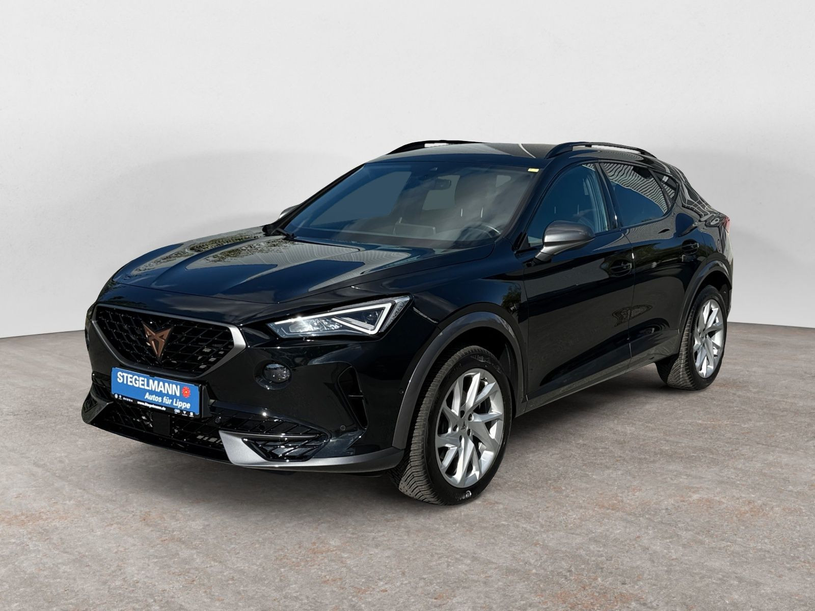 diagonal-frontansicht-aussen