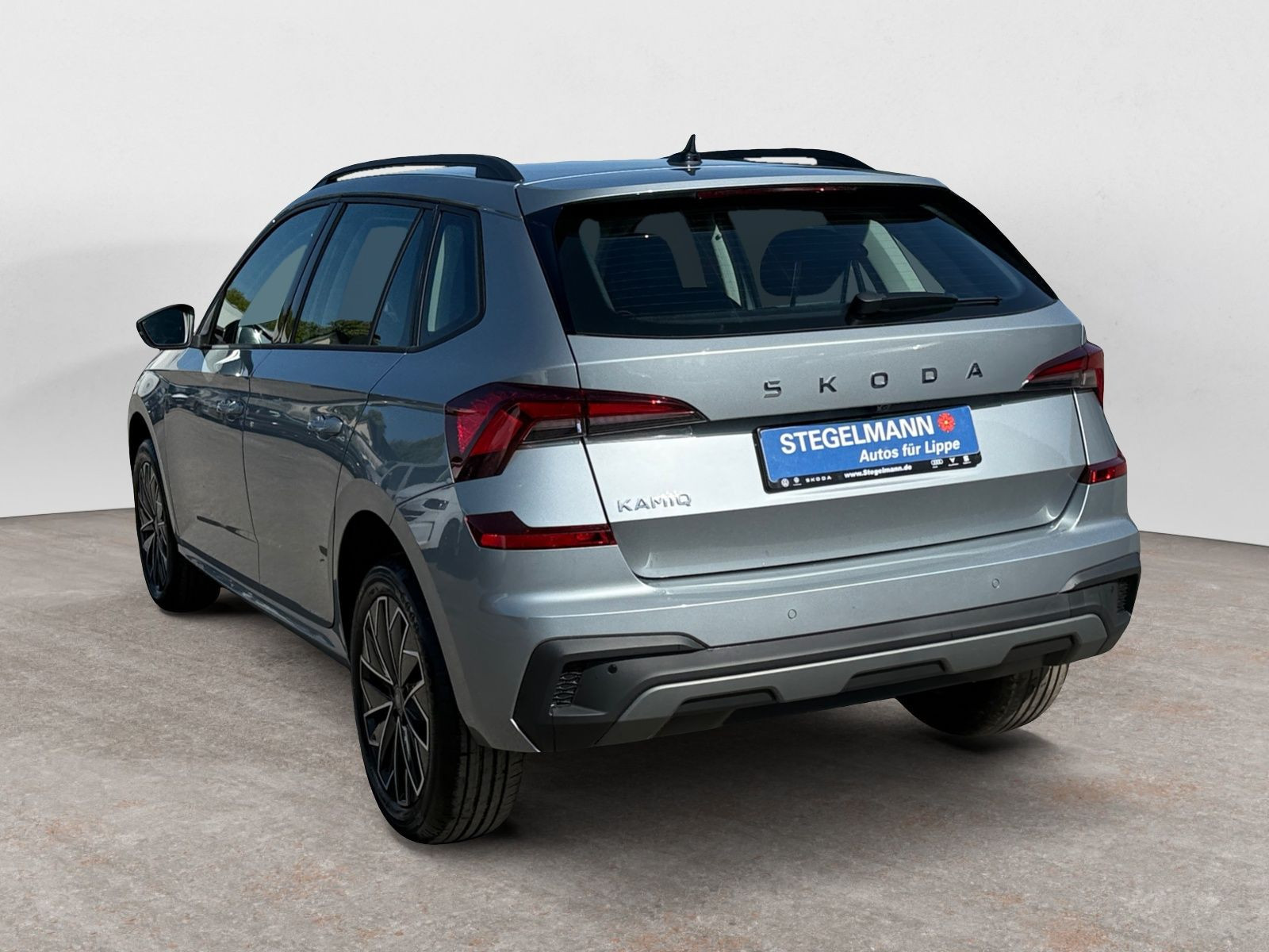 diagonalansicht-hinten-aussen