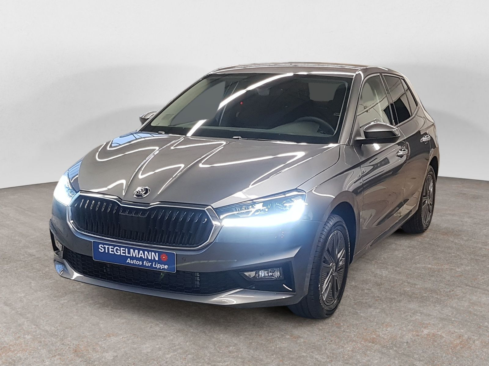 diagonal-frontansicht-aussen