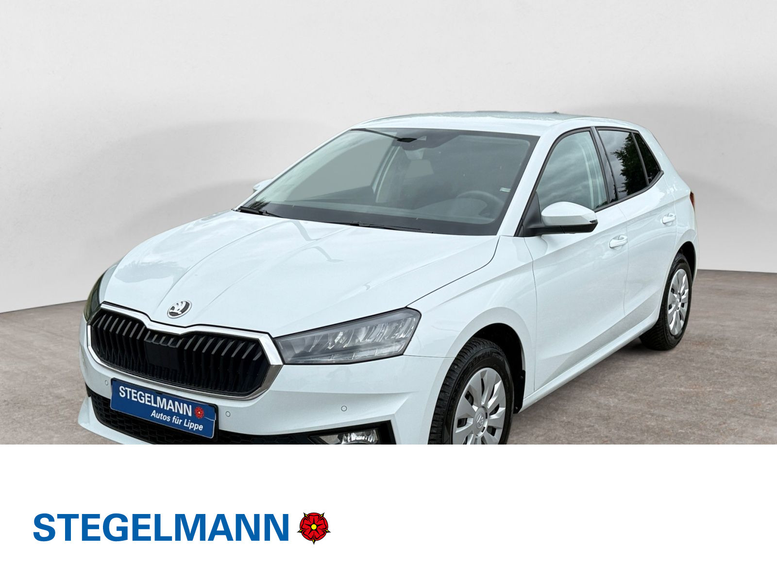 Škoda - Fabia_1