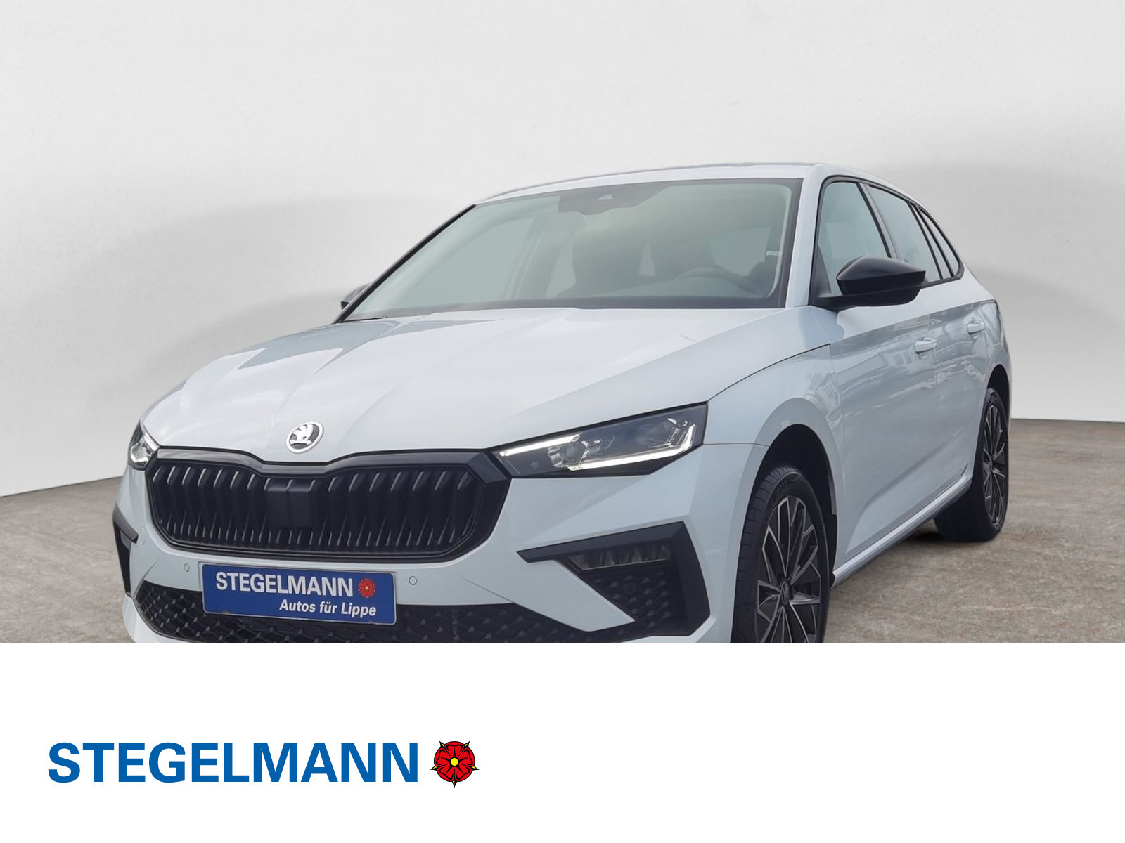 diagonal-frontansicht-aussen