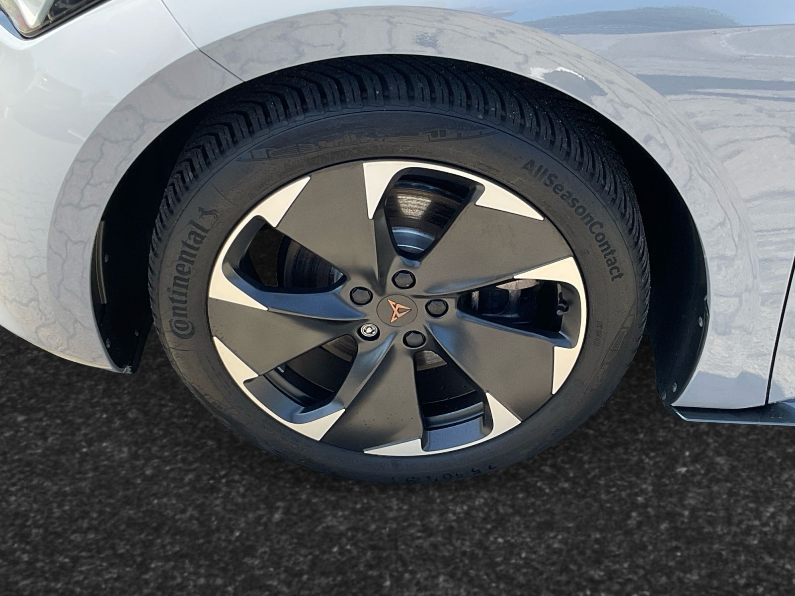 Cupra - Born_15