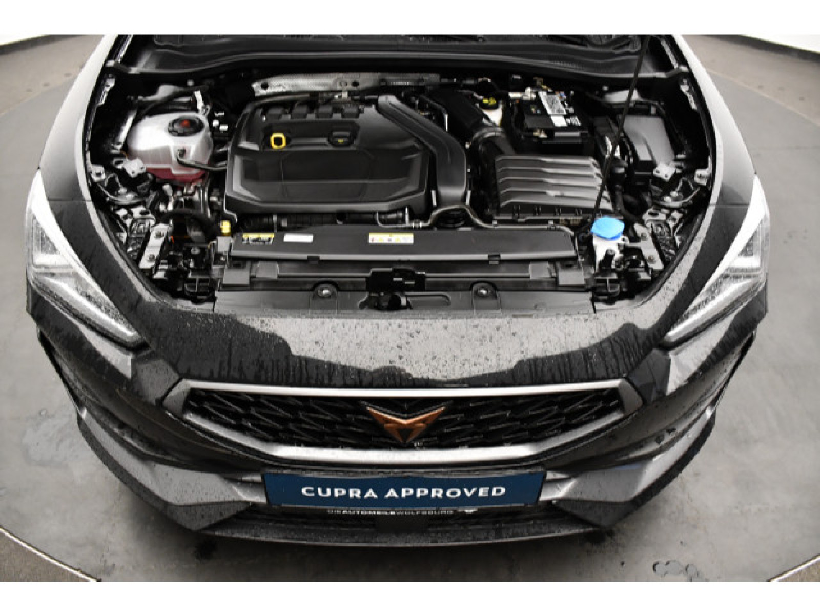 Cupra - Leon_11