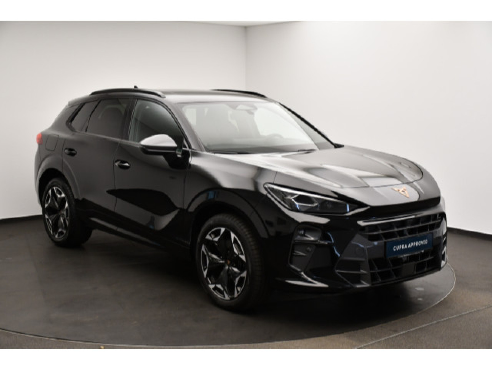 Cupra - Terramar_17