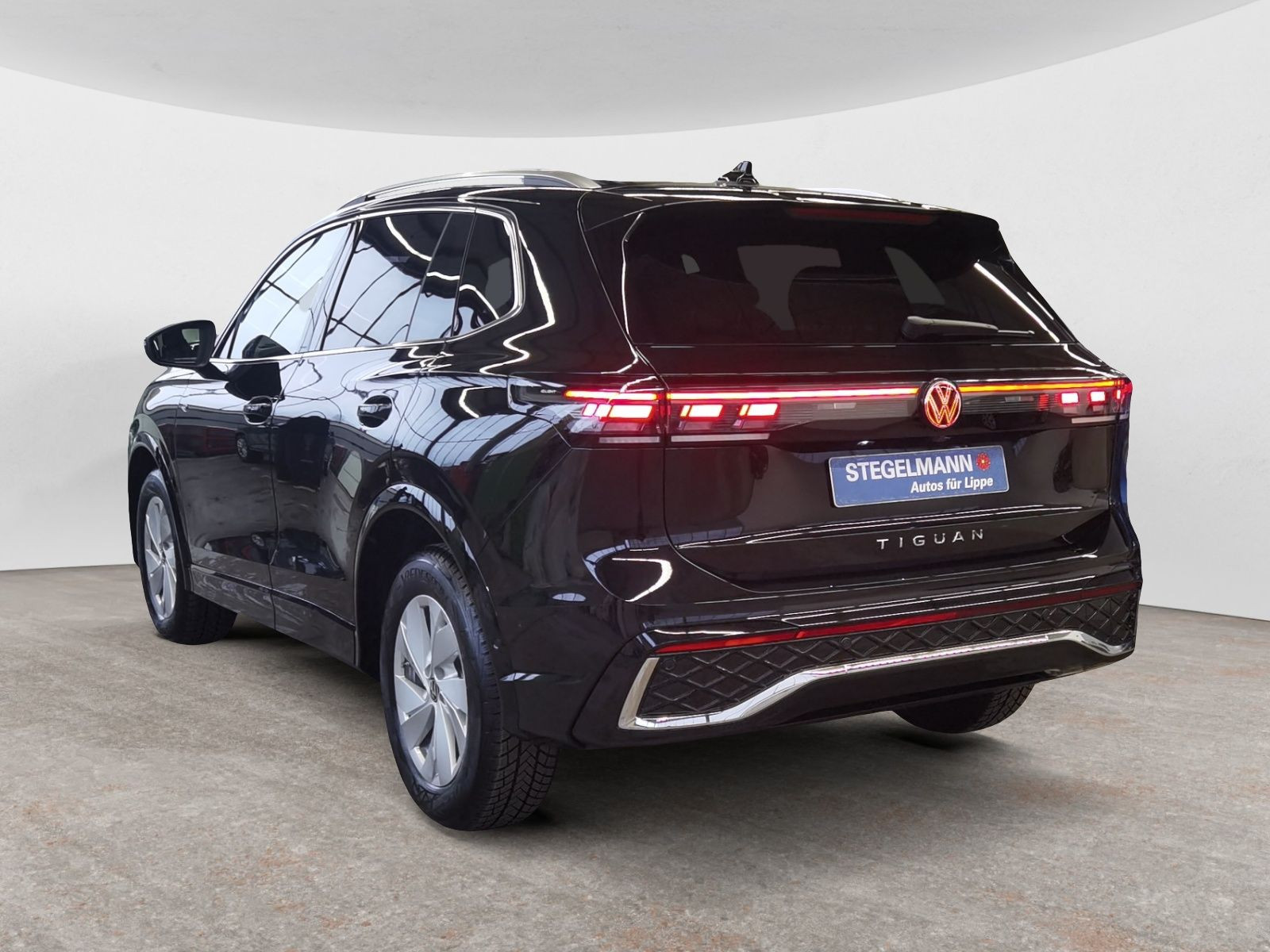 diagonalansicht-hinten-aussen