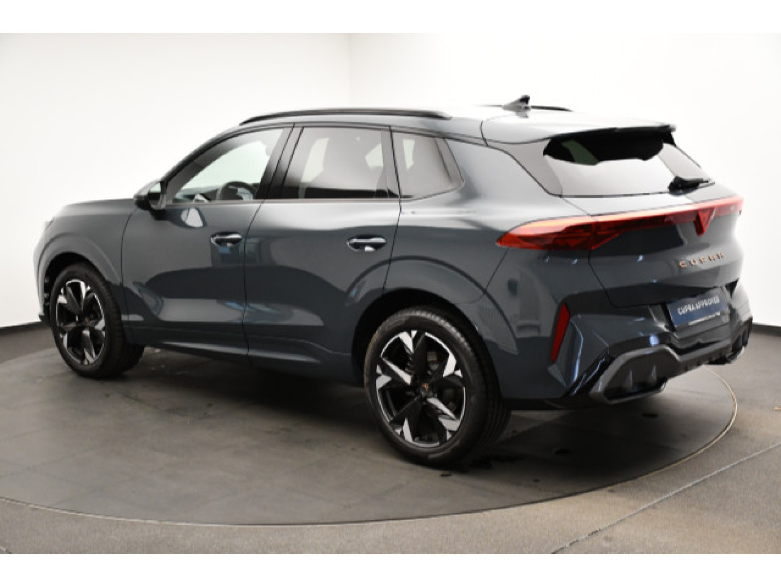 Cupra - Terramar_15