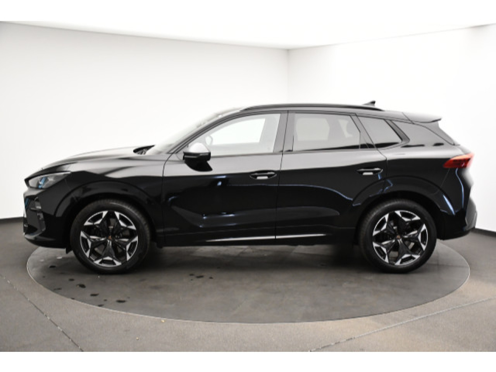 Cupra - Terramar_19