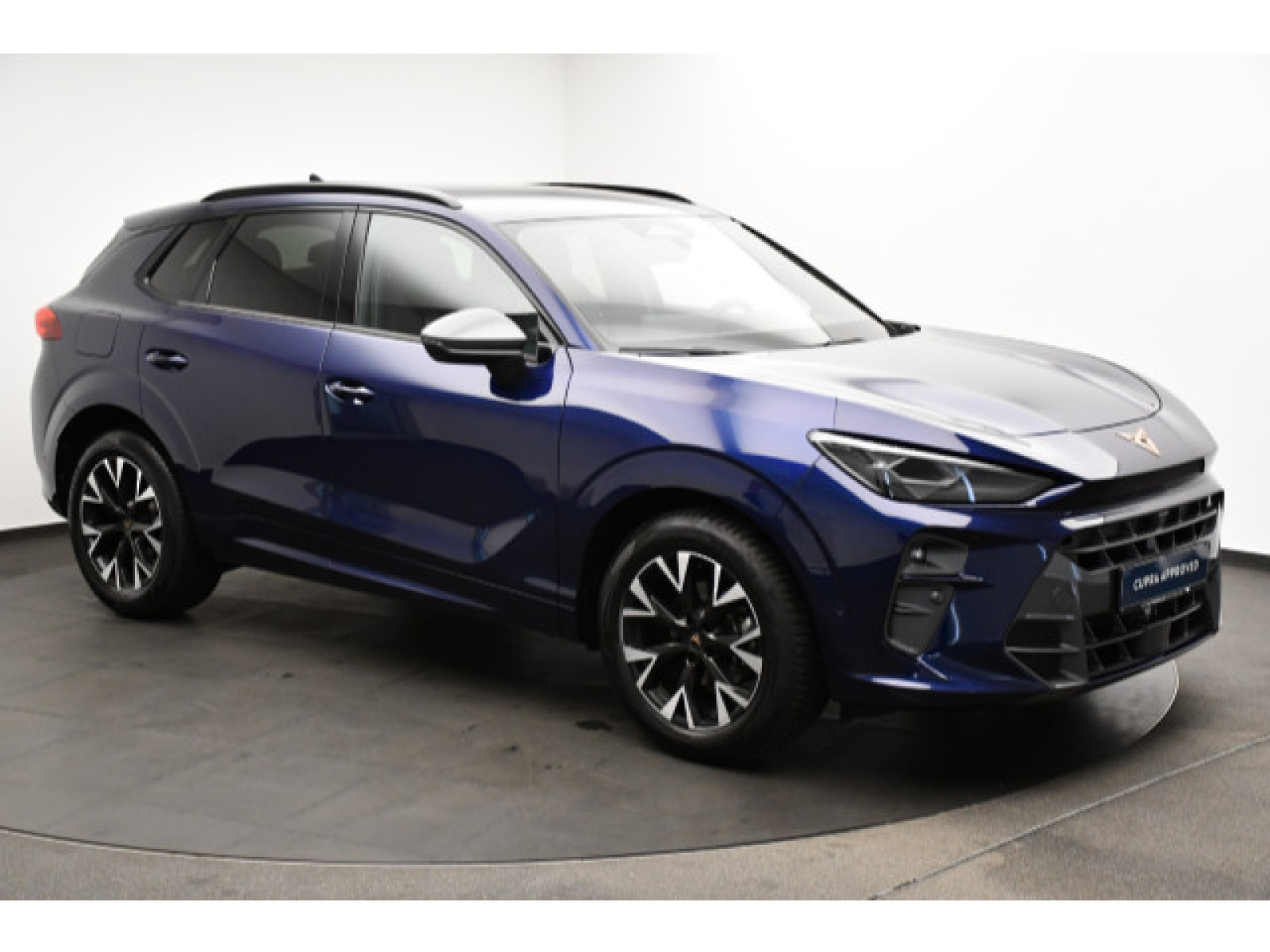 Cupra - Terramar_14