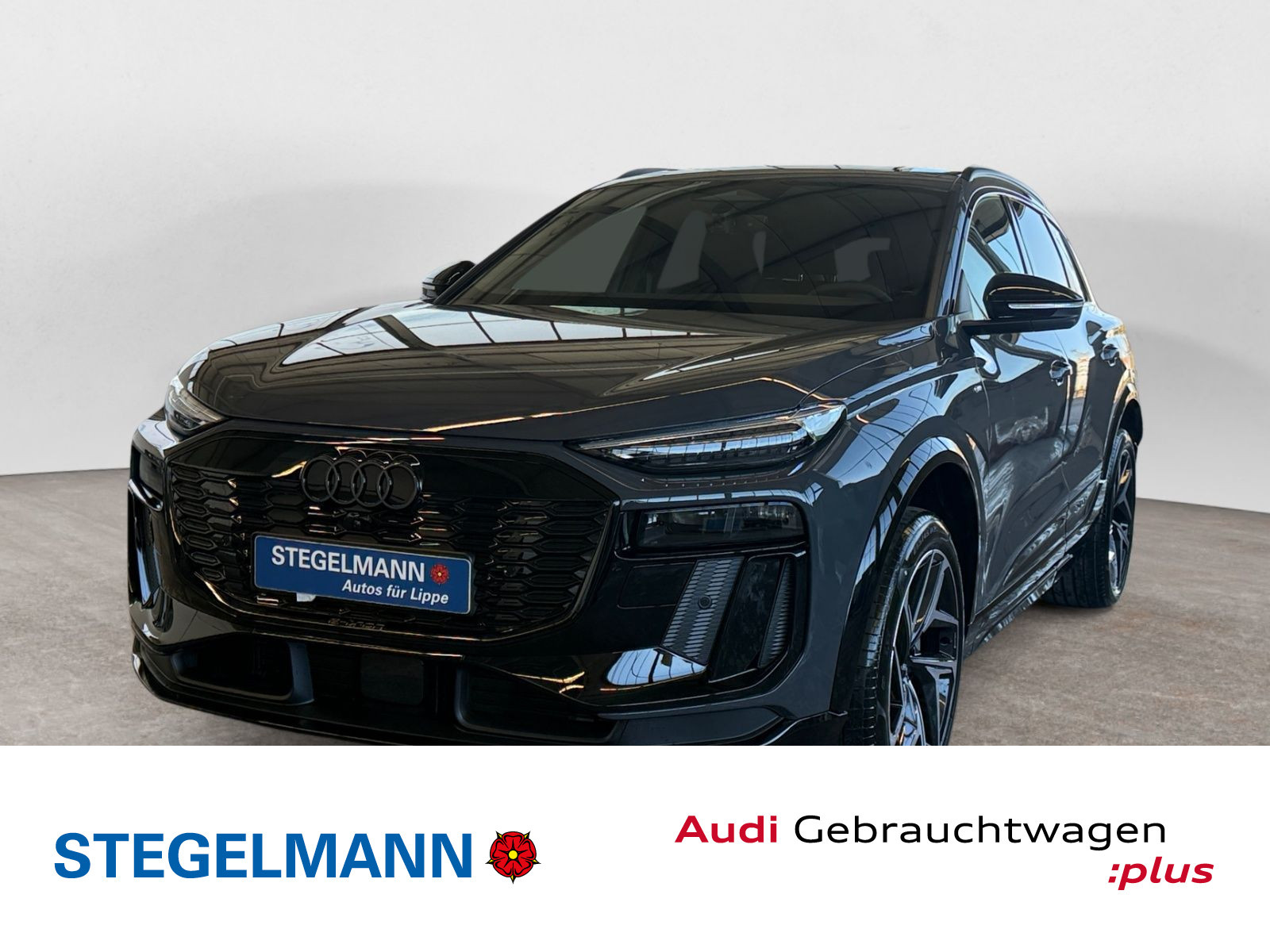 Fahrzeugbild_1