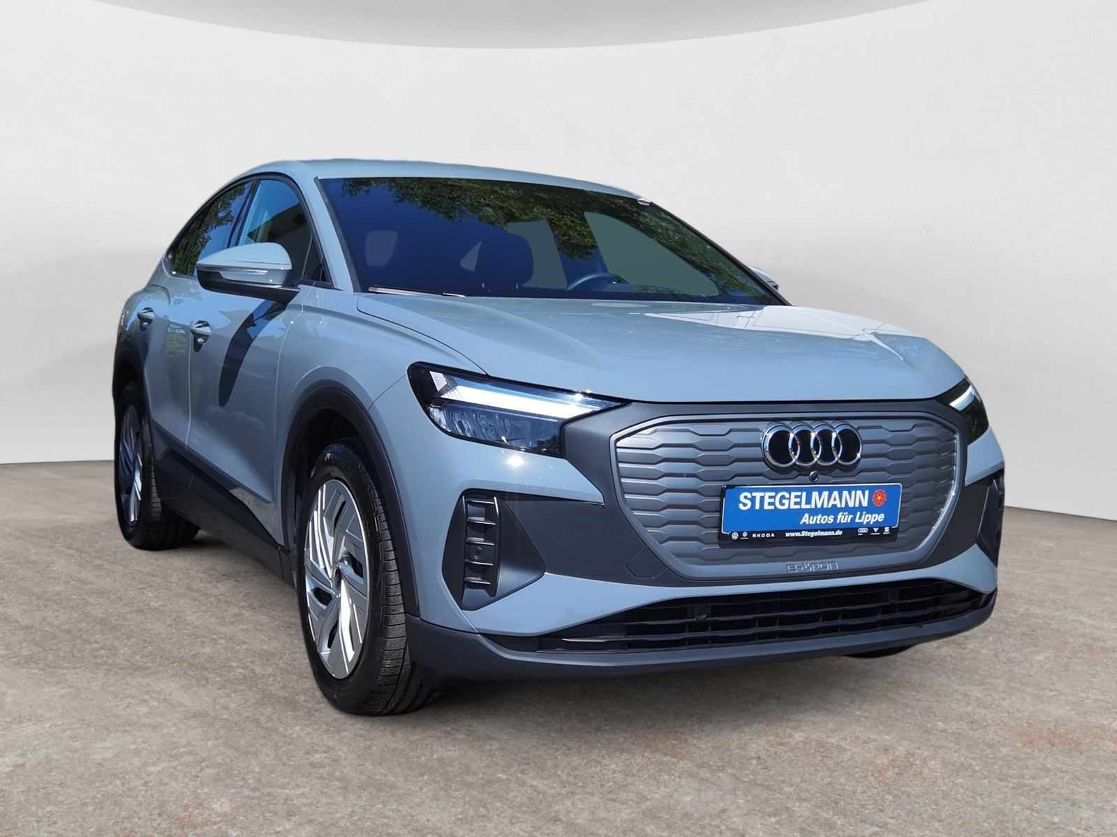 Audi - Q4 e-tron_9
