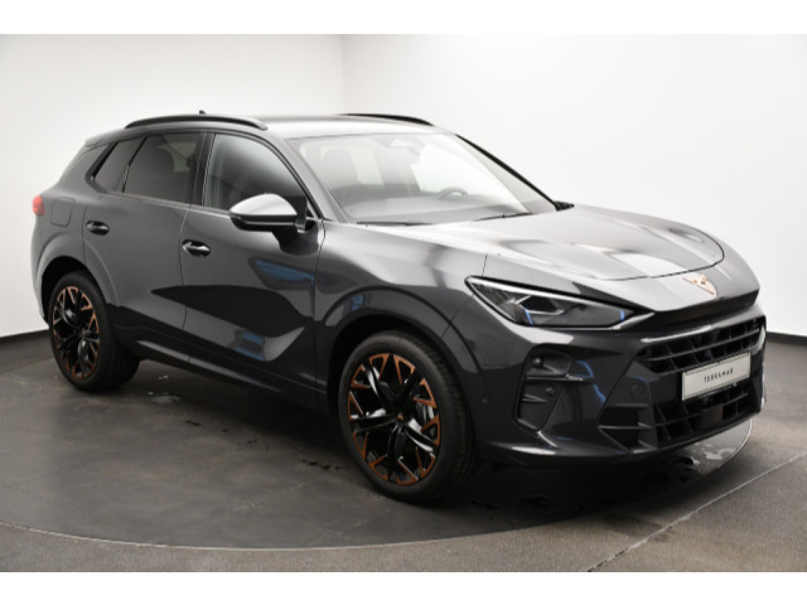 Cupra - Terramar_13