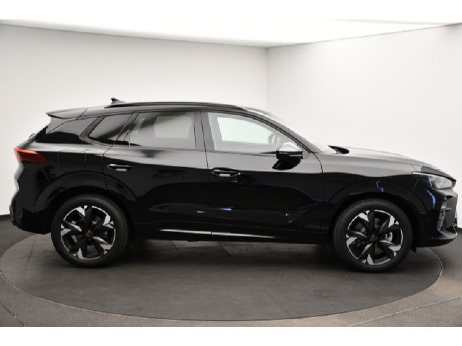 Cupra - Terramar_17