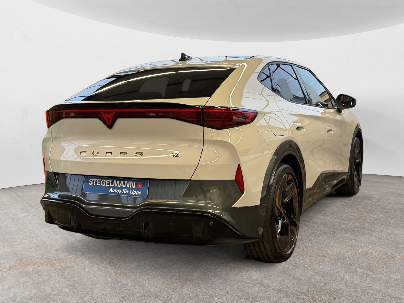 diagonalansicht-hinten-aussen