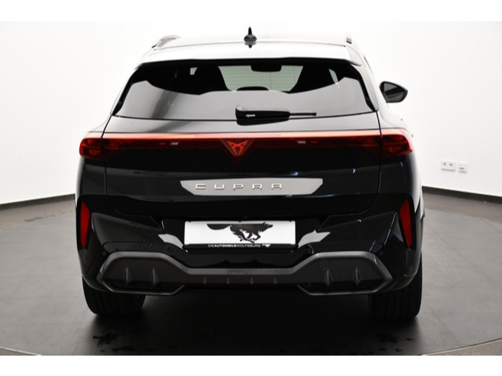 Cupra - Terramar_19