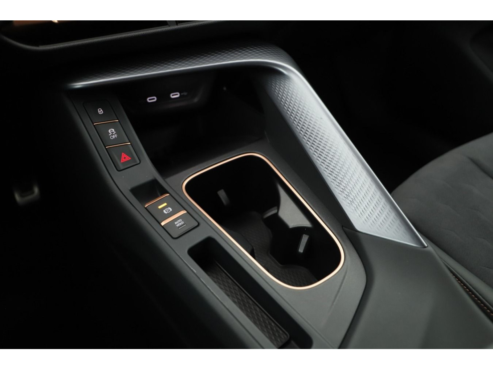 Cupra - Terramar_13