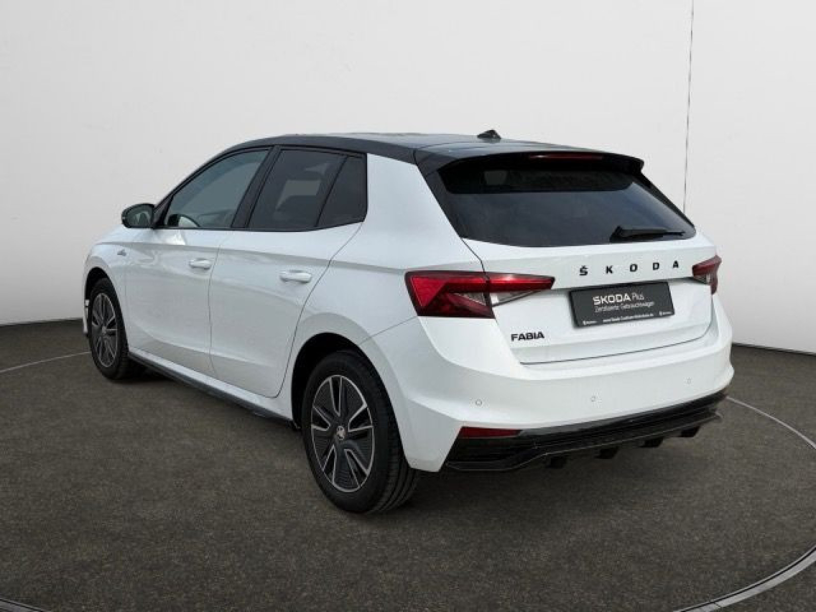 diagonalansicht-hinten-aussen