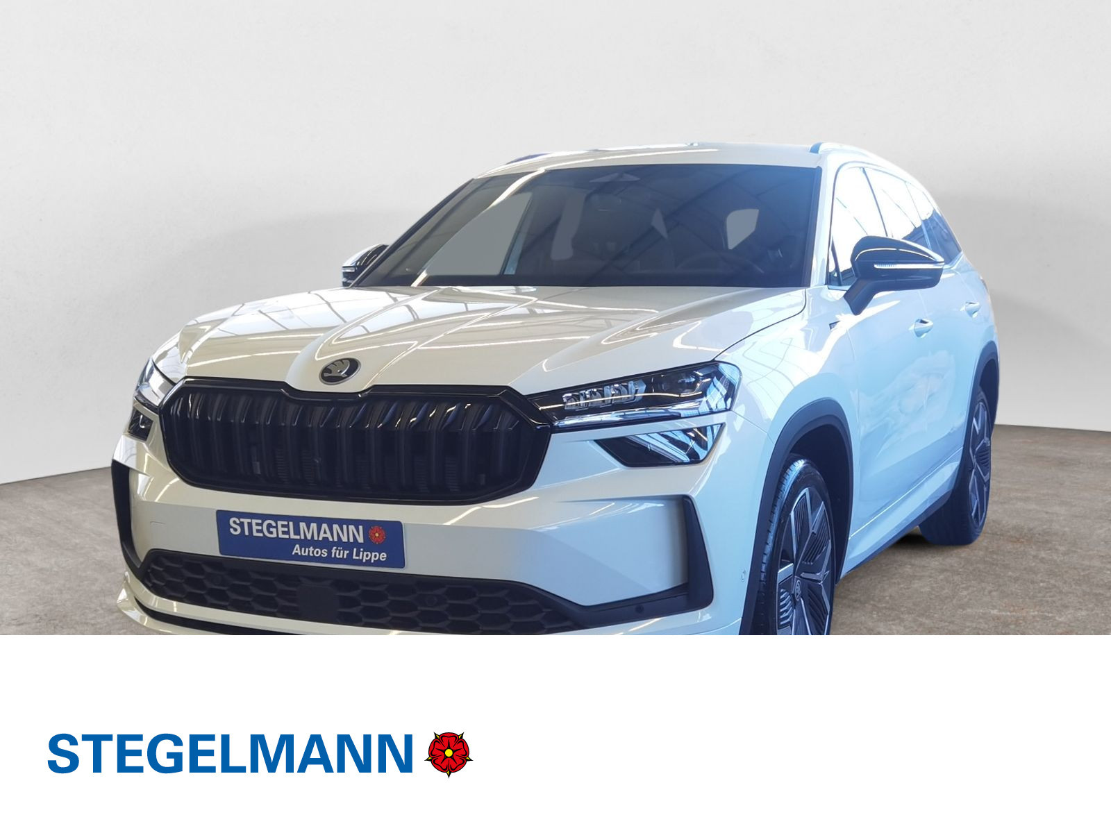 diagonal-frontansicht-aussen