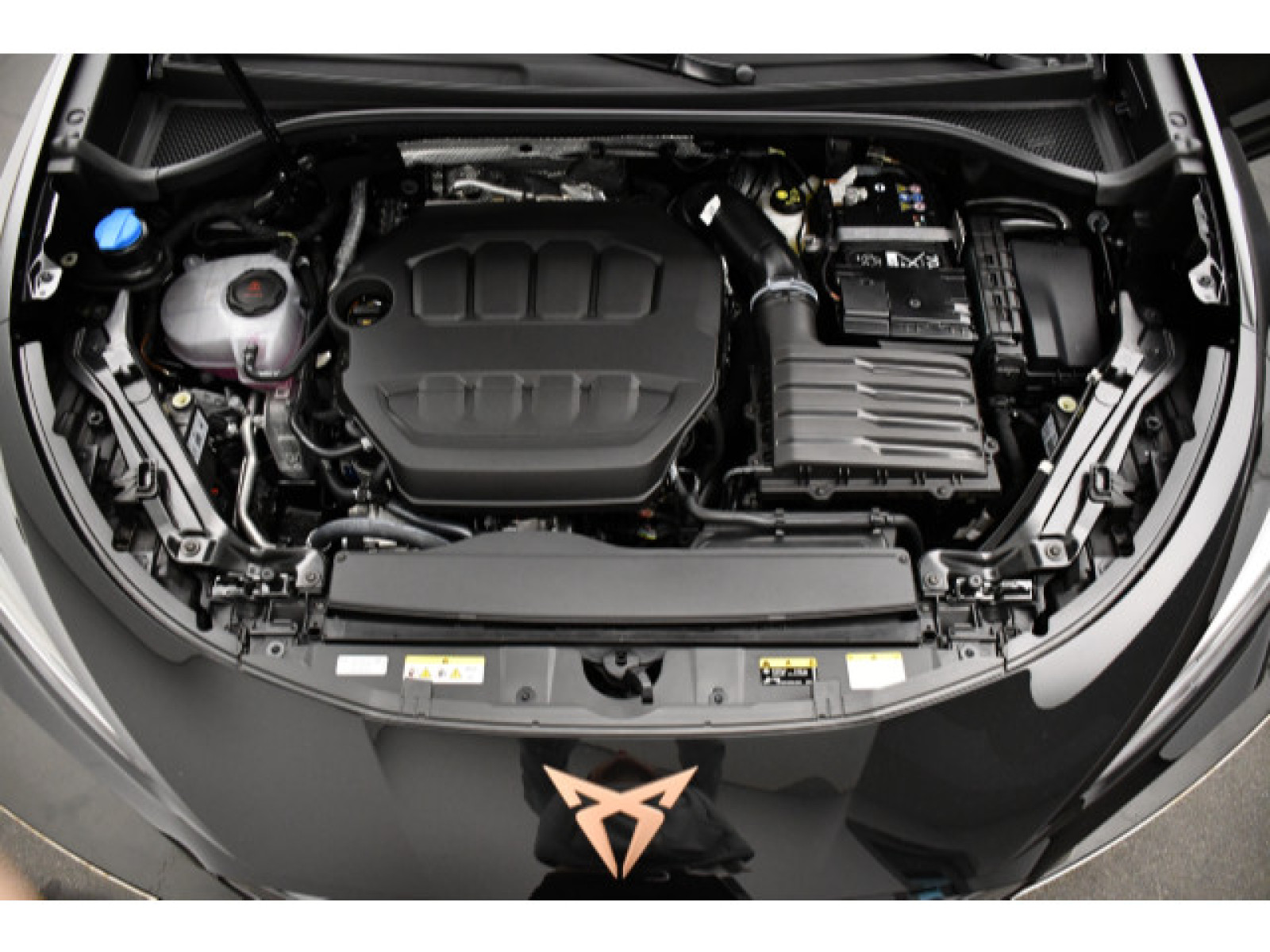 Cupra - Terramar_15