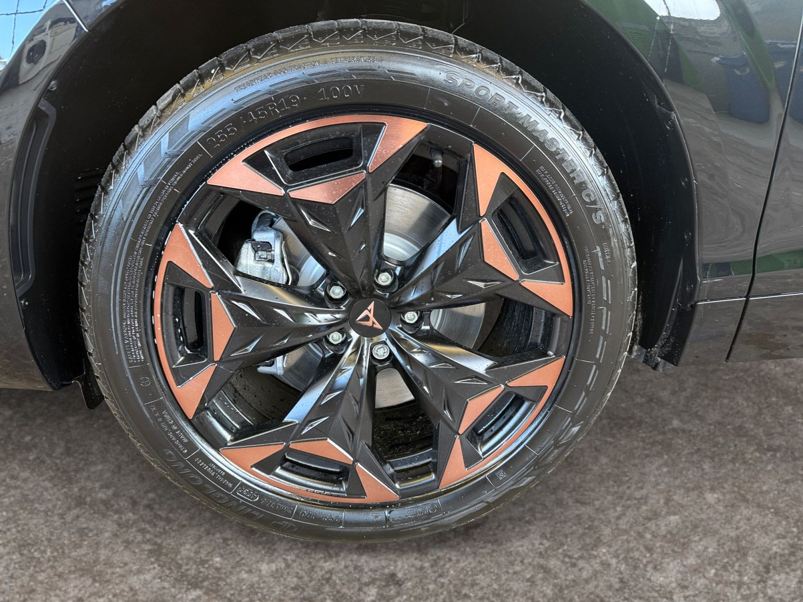 Cupra - Terramar_15