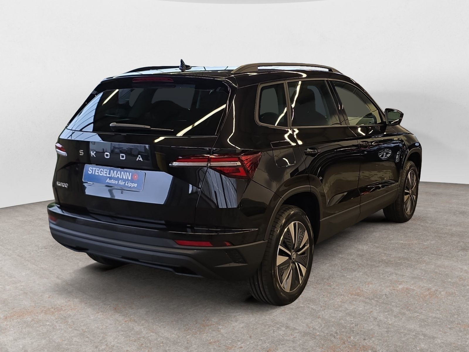 diagonalansicht-hinten-aussen