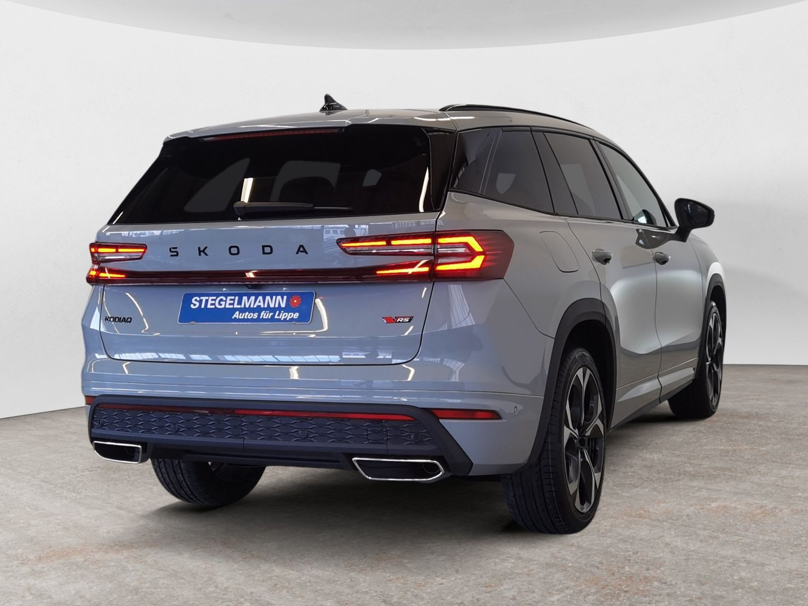 diagonalansicht-hinten-aussen