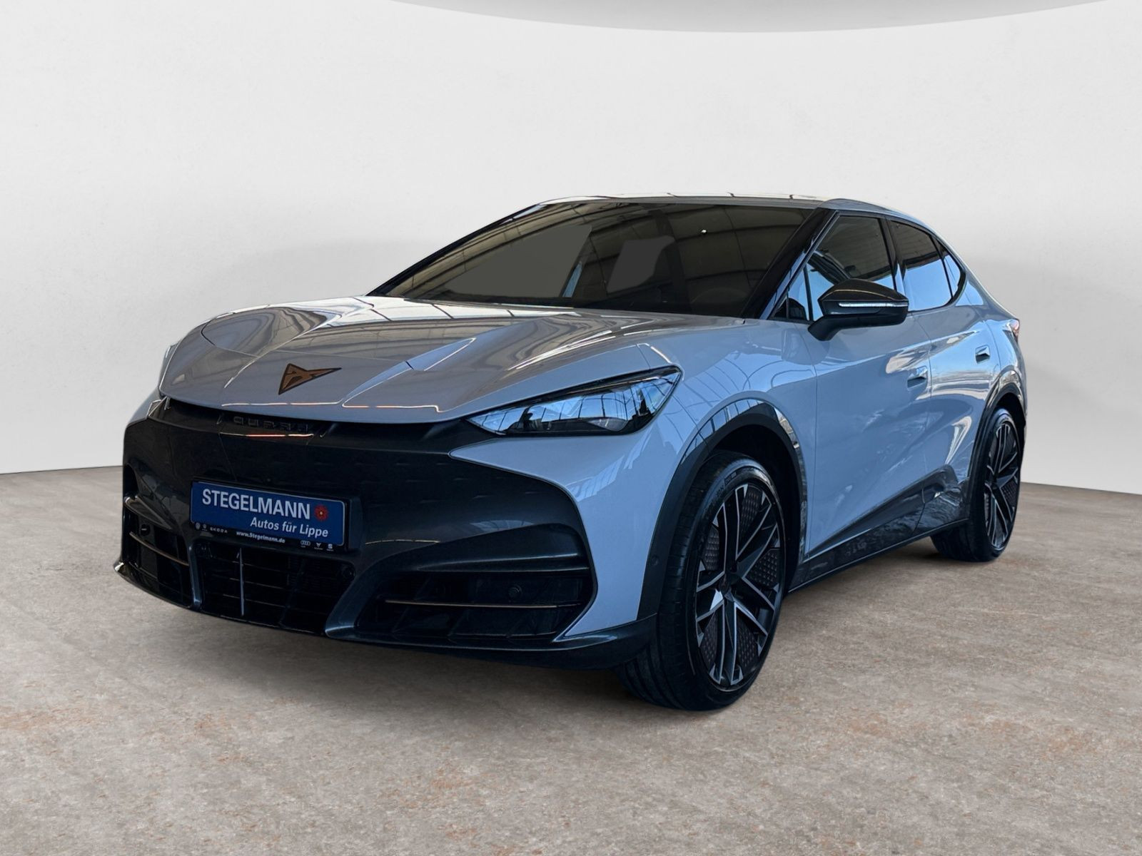 Cupra - Tavascan_2