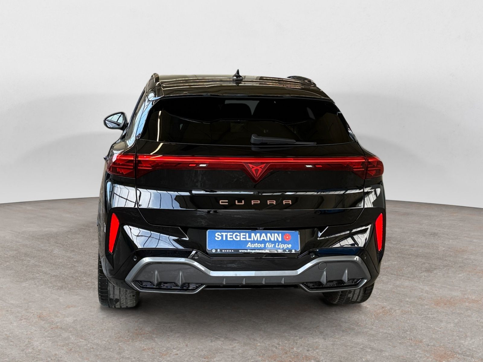 Cupra - Terramar_5