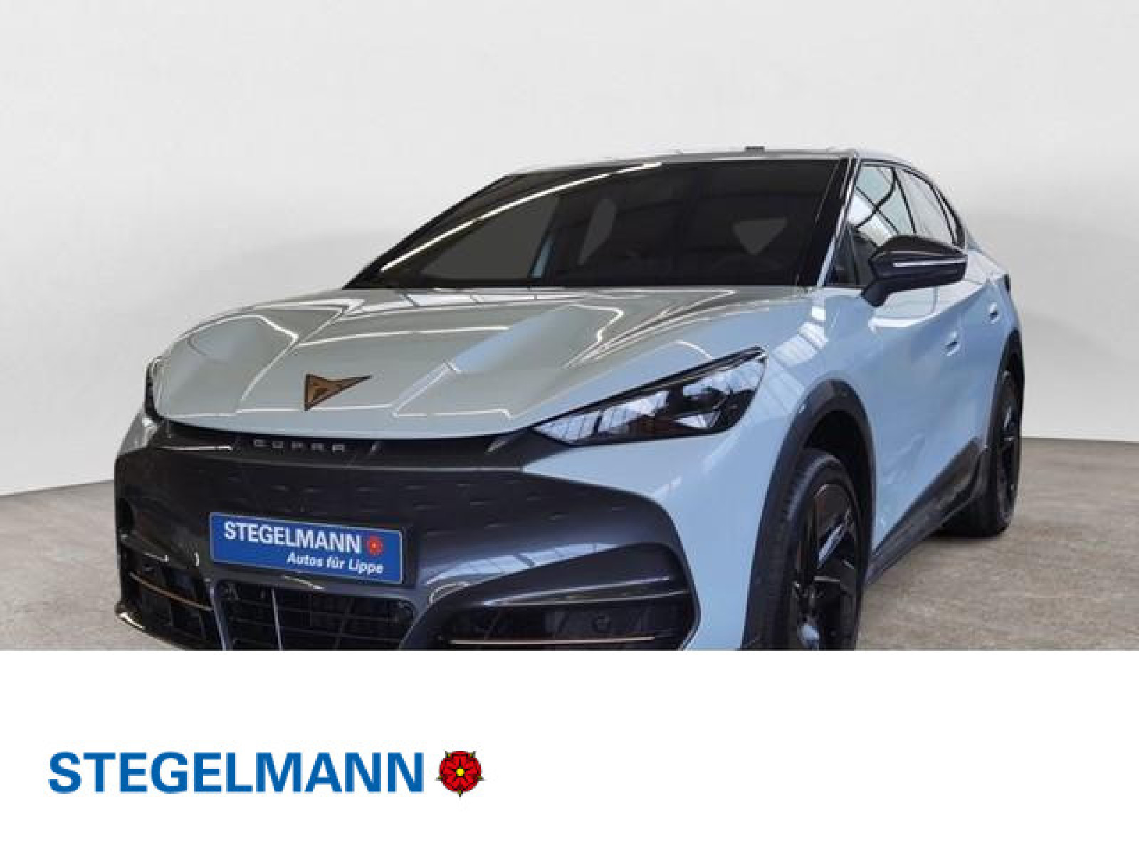 diagonal-frontansicht-aussen