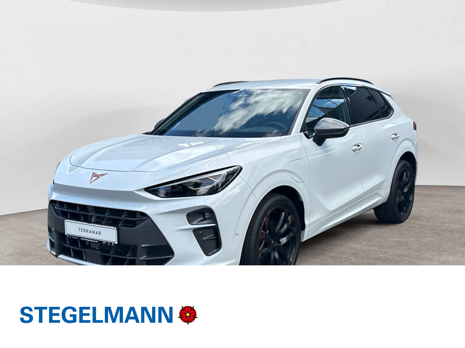 Cupra - Terramar_1