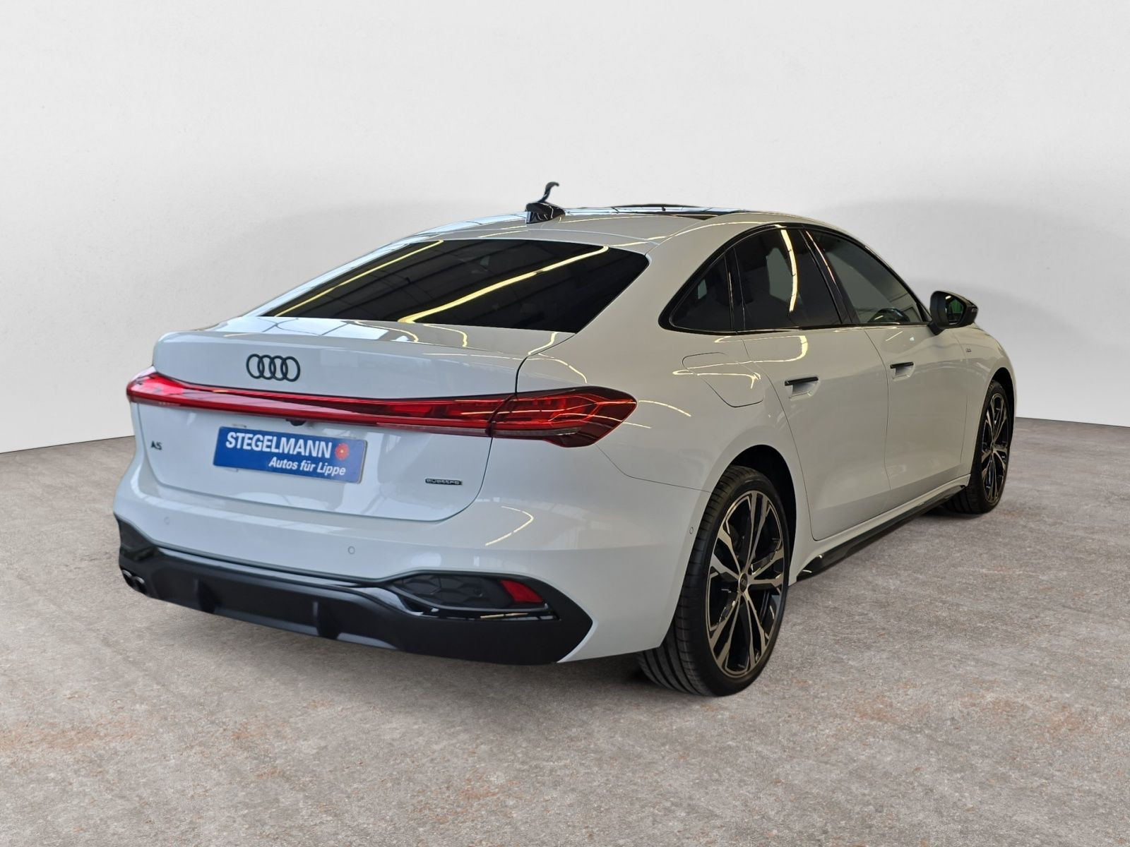 diagonalansicht-hinten-aussen