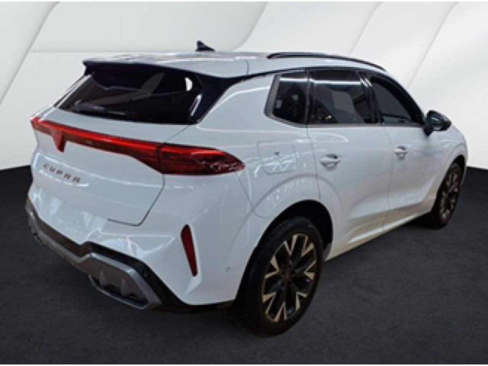 diagonalansicht-hinten-aussen