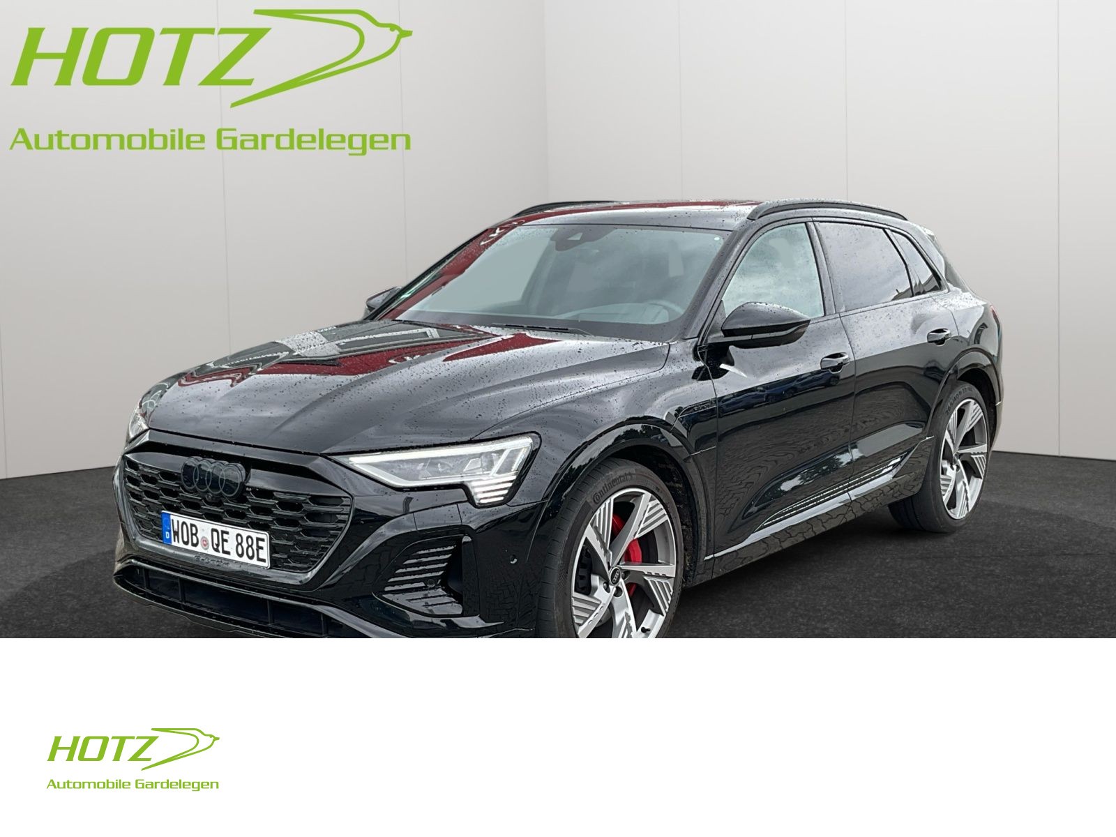 Q8 55 e-tron quattro S line B+O/PANO/AHK/AIR