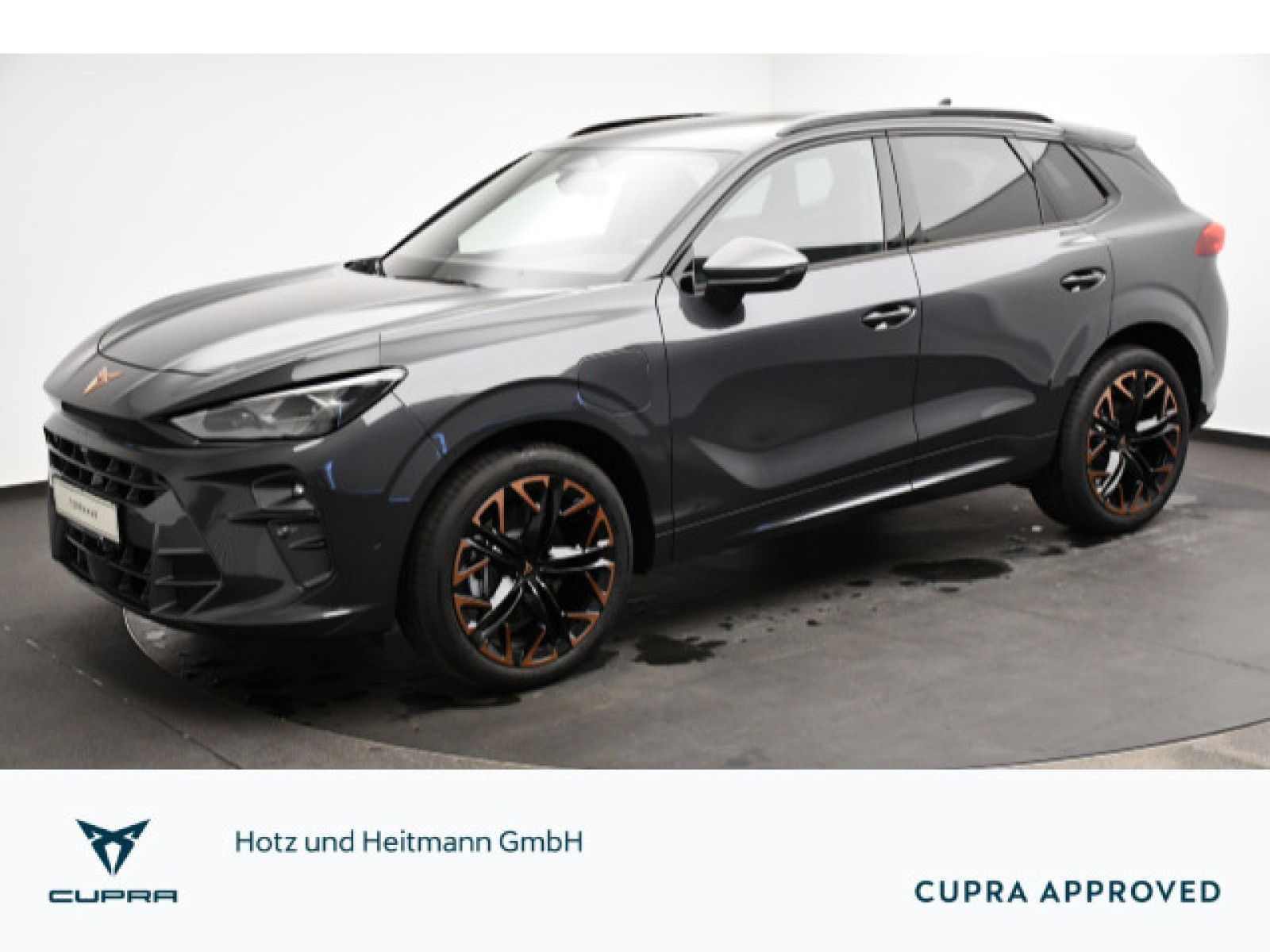 Cupra - Terramar_1