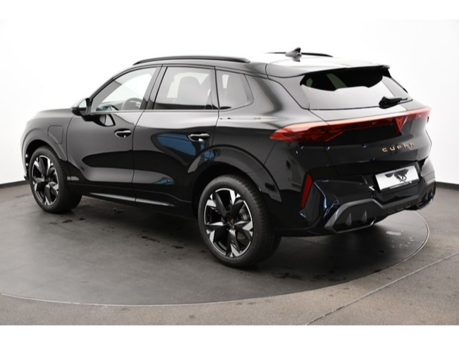 Cupra - Terramar_15
