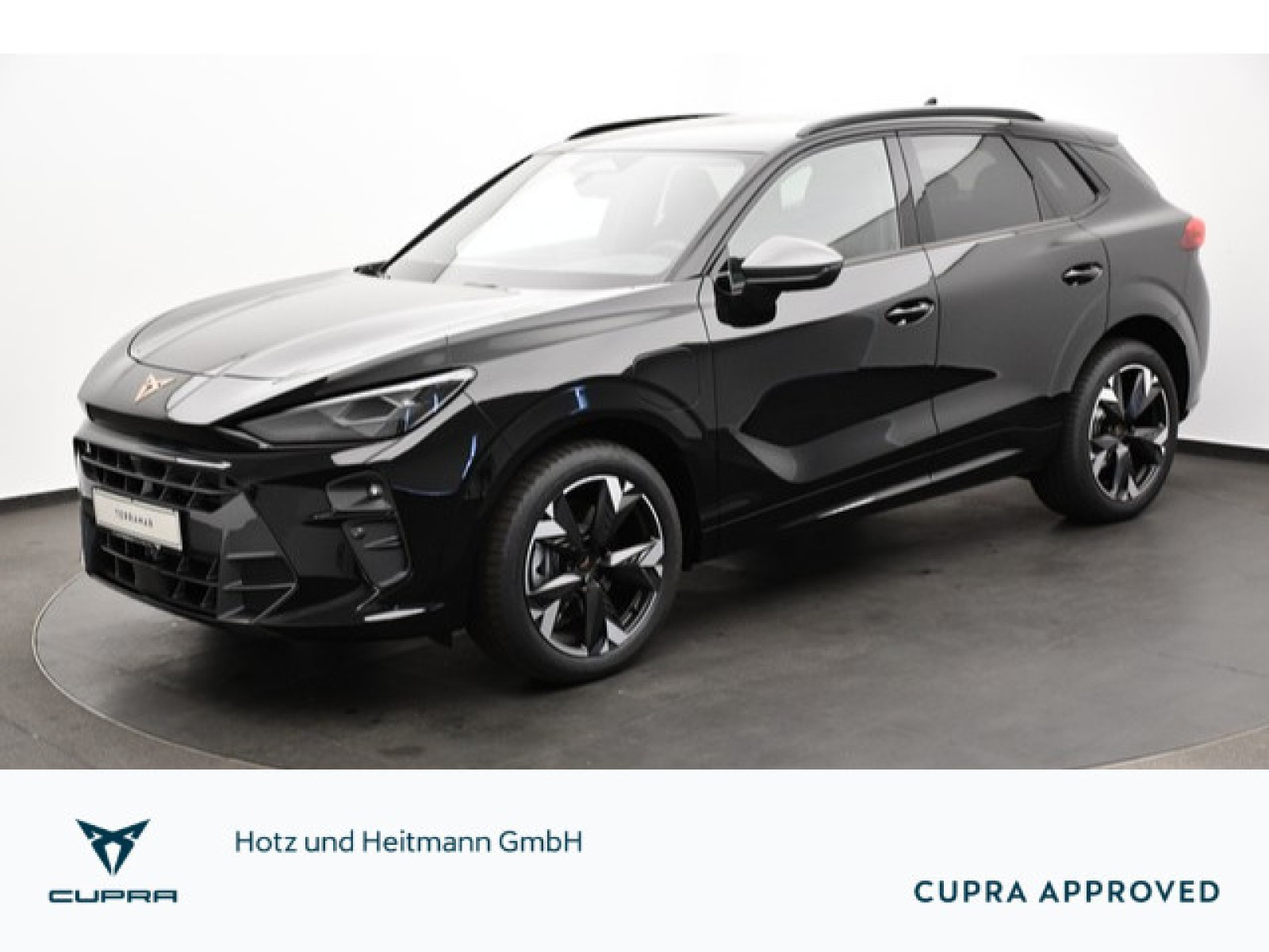 Cupra - Terramar_1