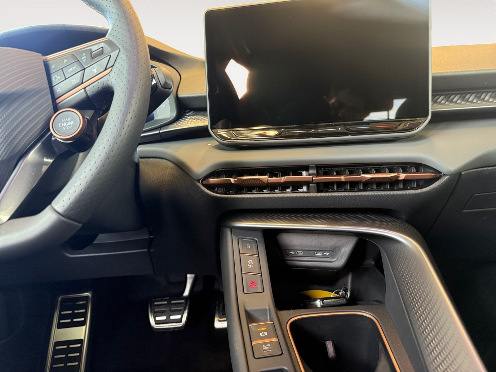 Cupra - Terramar_12