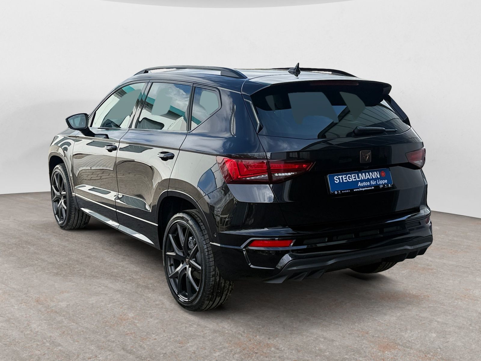 diagonalansicht-hinten-aussen