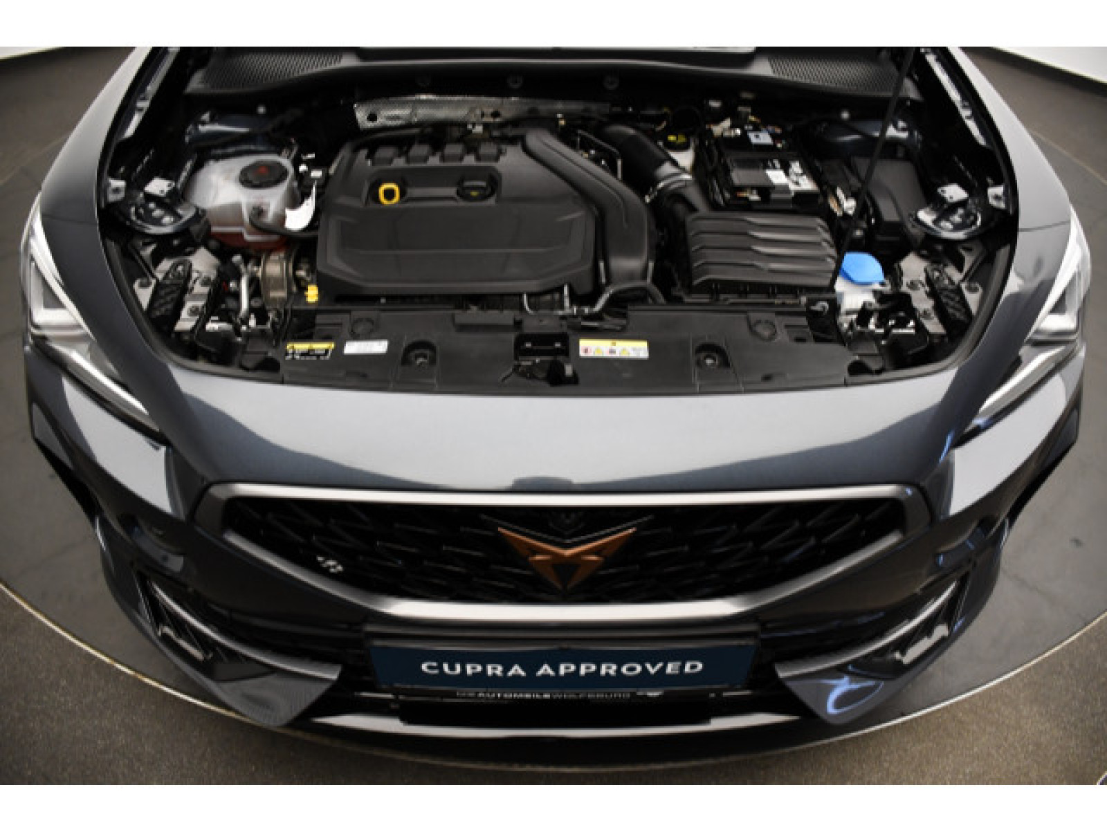 Cupra - Formentor_11