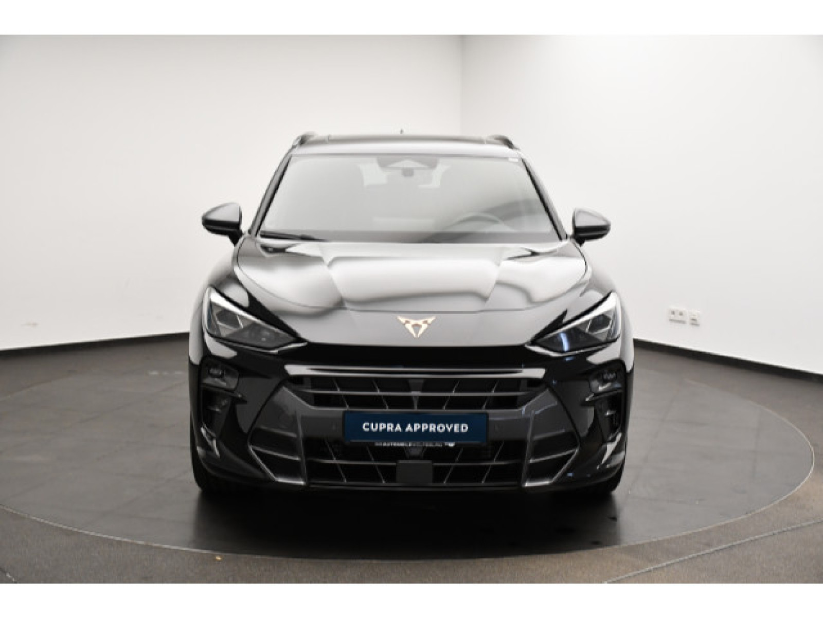 Cupra - Terramar_21