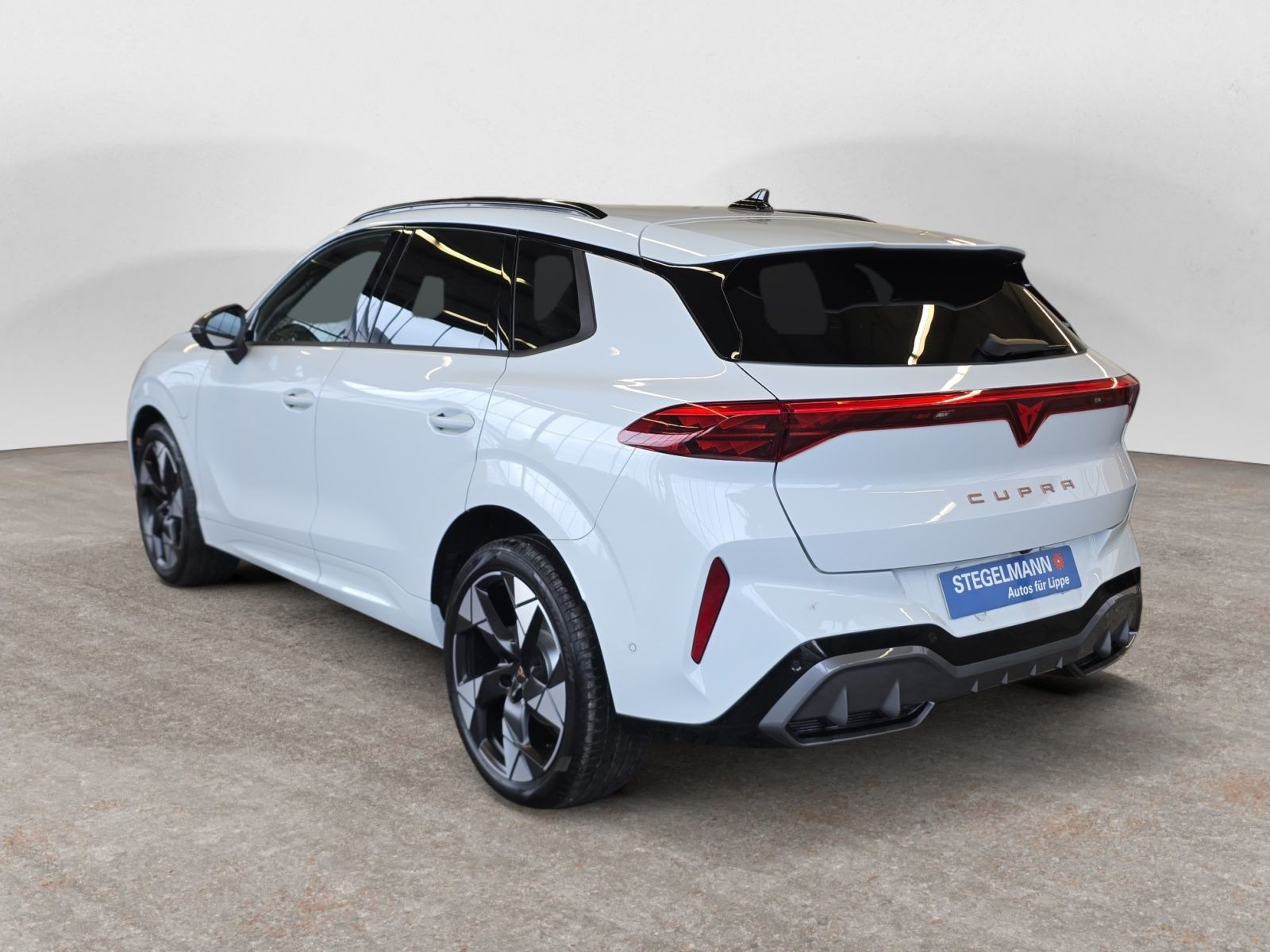 diagonalansicht-hinten-aussen