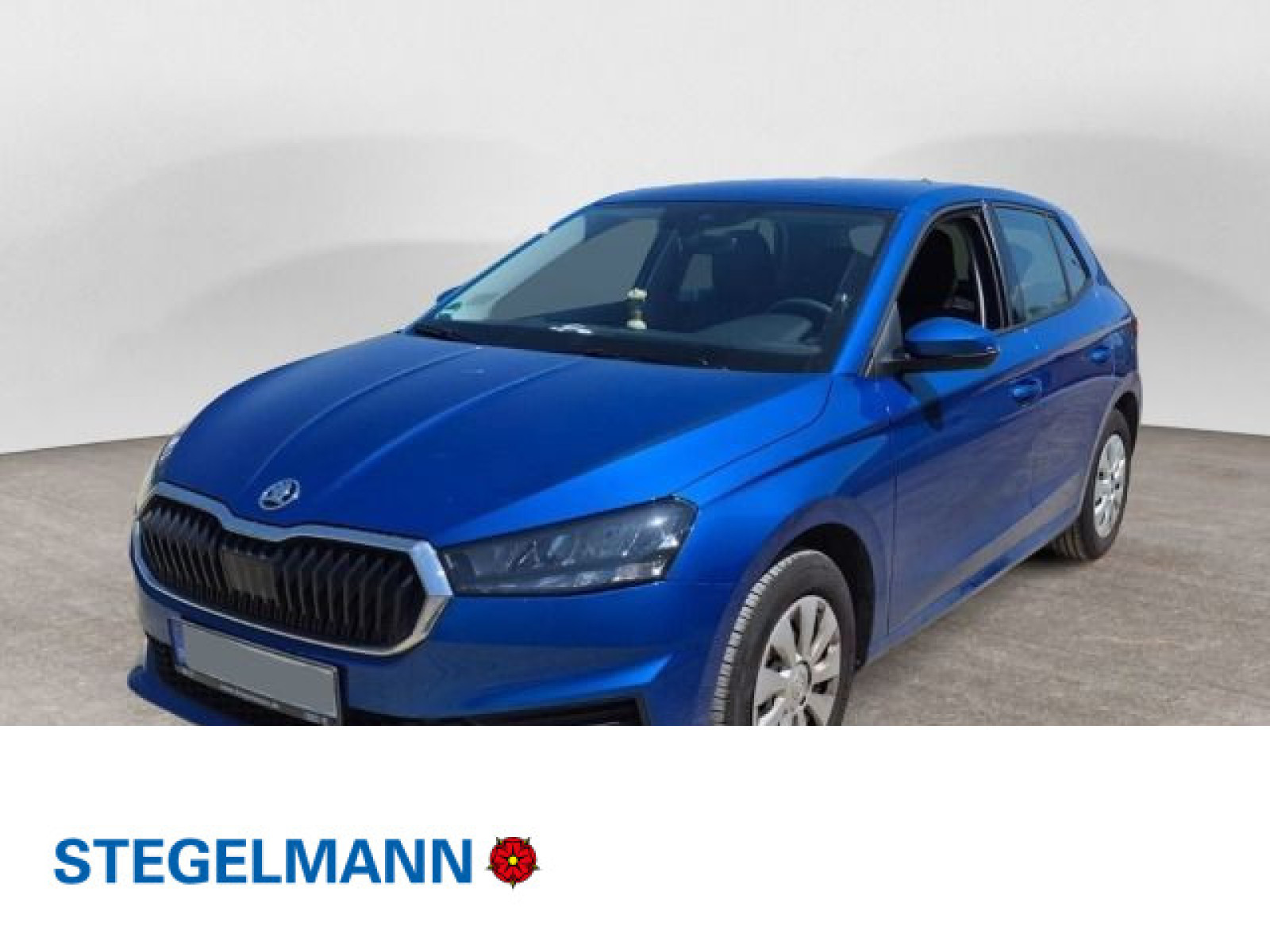 Fahrzeugbild_1