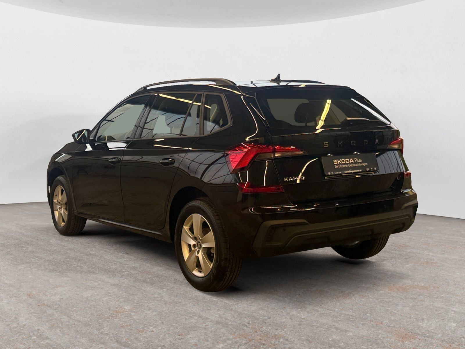 diagonalansicht-hinten-aussen