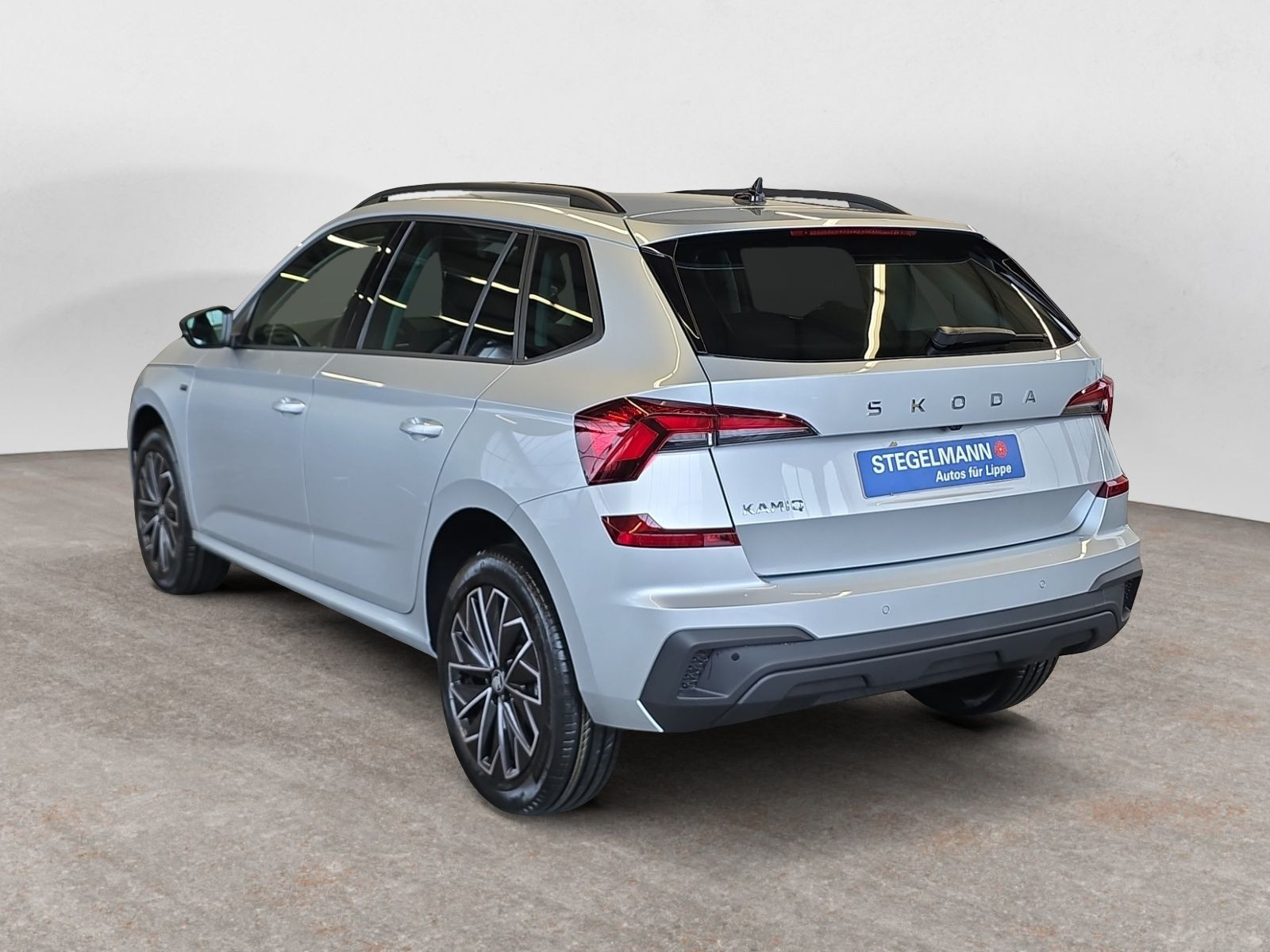 diagonalansicht-hinten-aussen