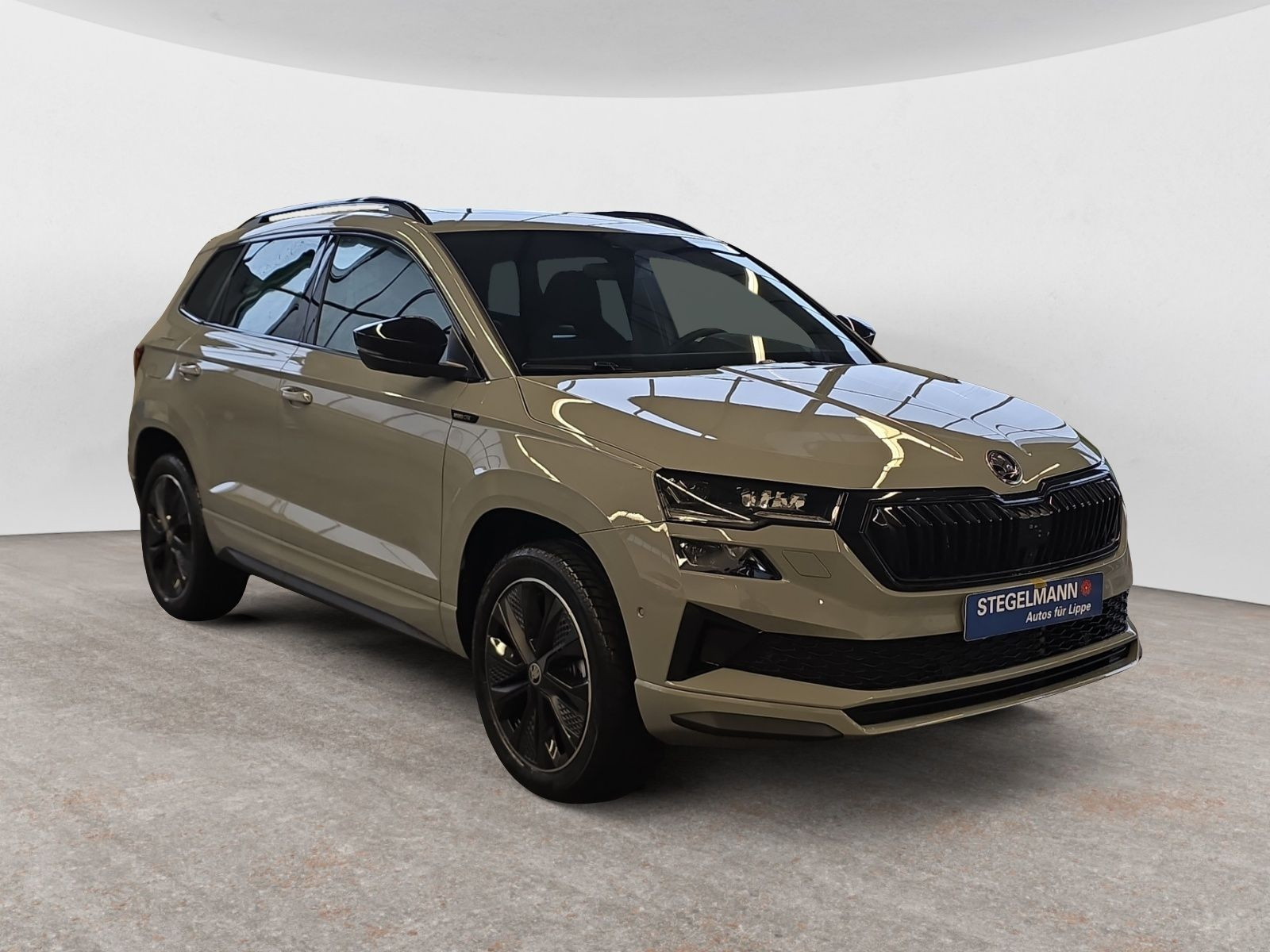 Škoda - Karoq_8