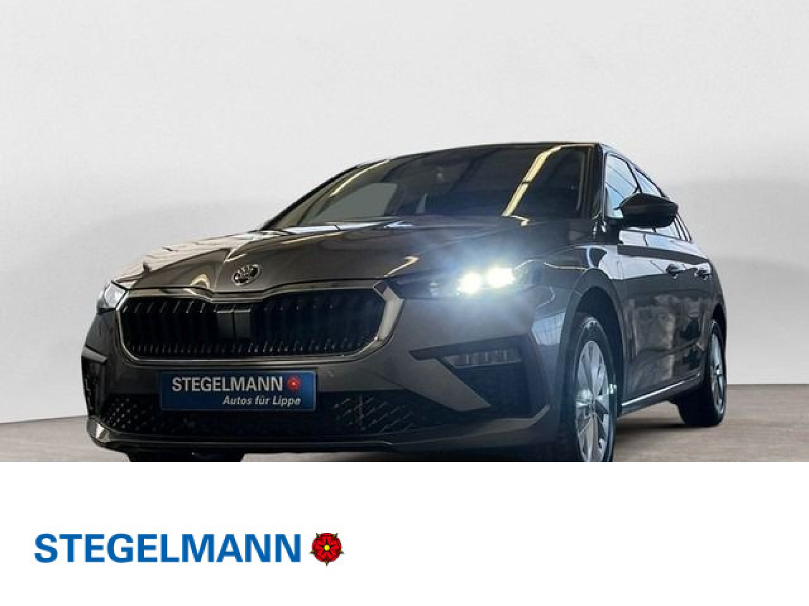 diagonal-frontansicht-aussen diagonal-frontansicht-aussen