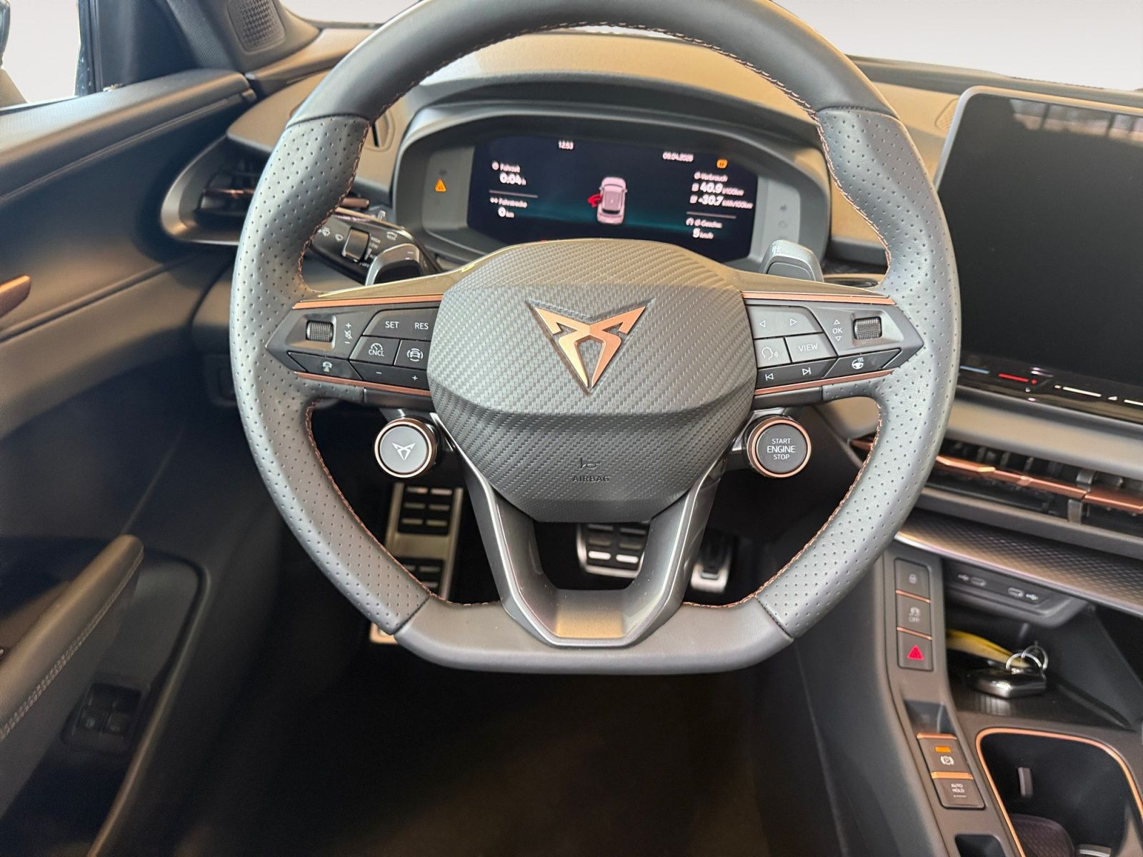 Cupra - Terramar_13