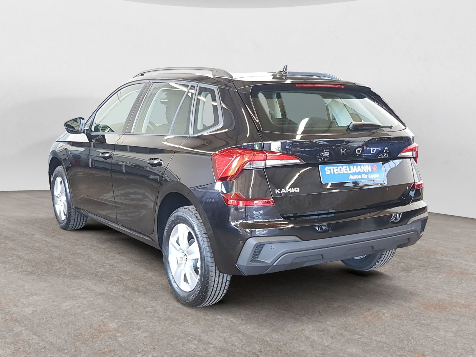 diagonalansicht-hinten-aussen