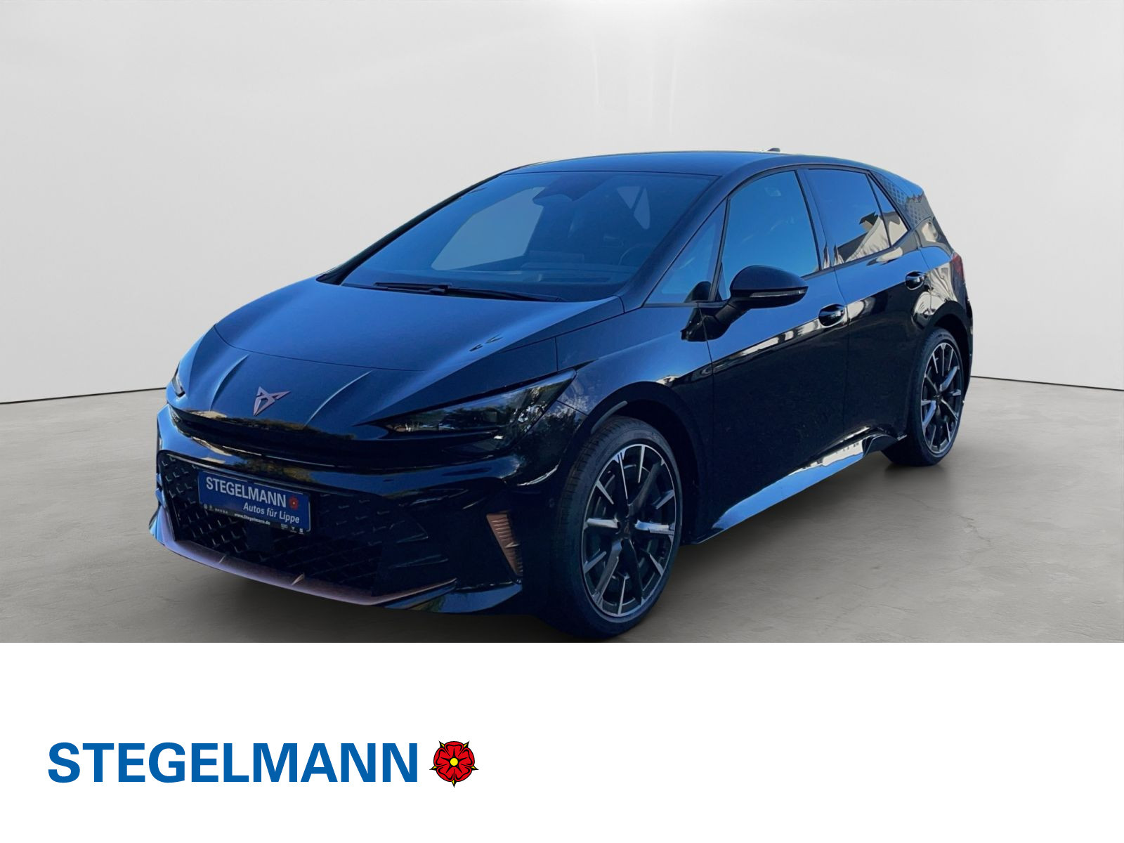 Fahrzeugbild_1
